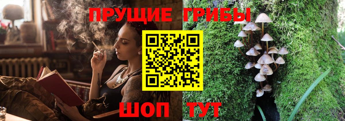 Псилоцибиновые грибы Psilocybe  Вход с VPN  Златоуст 